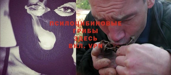 дурь Арсеньев