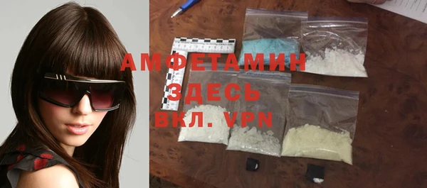 индика Аркадак