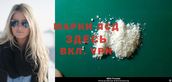 индика Аркадак