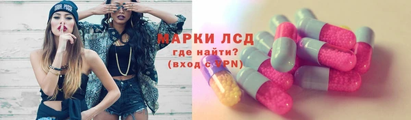 индика Аркадак