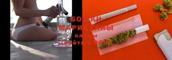 дурь Арсеньев