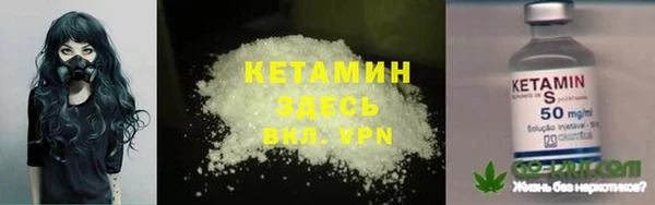 индика Аркадак