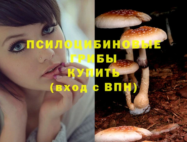 индика Аркадак