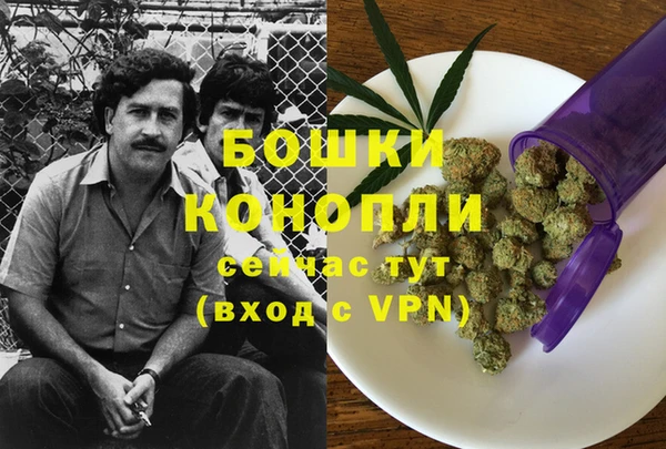 индика Аркадак