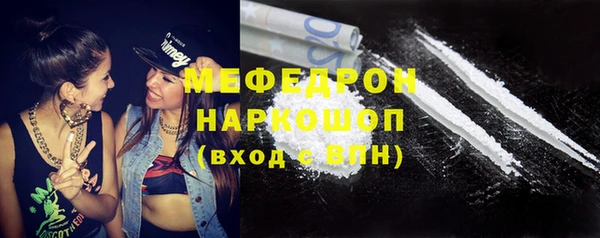 индика Аркадак