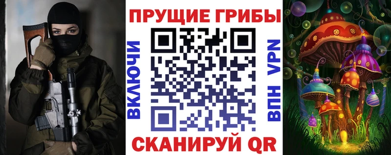 Галлюциногенные грибы Psilocybine cubensis  Ухта 